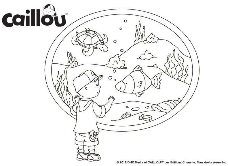 Coloriage Caillou Visite Un Aquarium Avec Des Animaux Marins - Caillou à imprimer